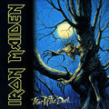 Iron Maiden - Fear Of The Dark - Vinyl Record