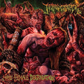 Fetal Disgorge - Mass Female Degradation - Music CD