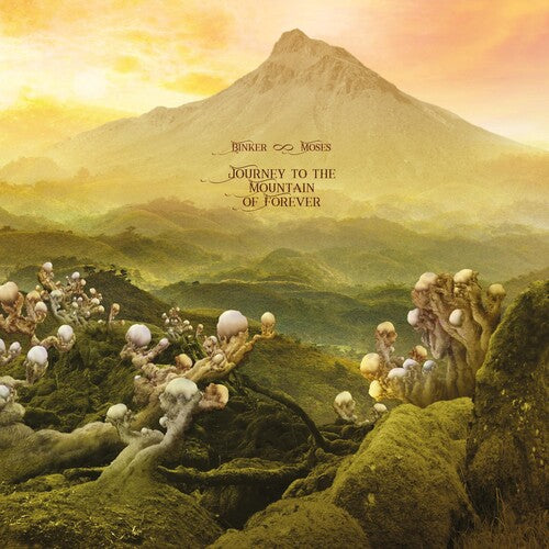 Binker & Moses - Journey To The Mountain Of Forever - Vinyl Record