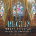 Reger / Falcioni - Reger: Organ Sonatas - Music CD
