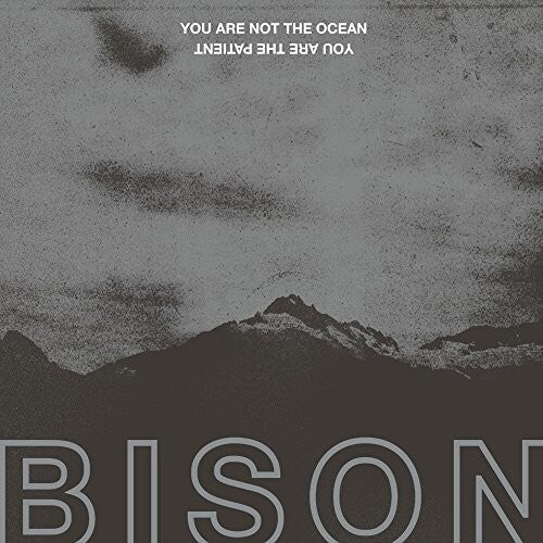 Bison - You Are Not The Ocean You Are The Patient - Vinyl Record