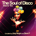 Negro,joey / Sean P. - Soul Of Disco 2 - Vinyl Record