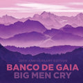 Banco De Gaia - Big Men Cry - Music CD