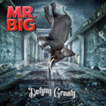 Mr Big - Defying Gravity - Music CD