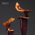 Daphni - Fabriclive 93 - Music CD