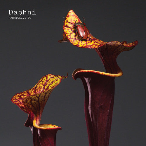 Daphni - Fabriclive 93 - Music CD