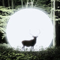 Lite - Installation - Vinyl Record