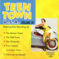 Teen Town Usa 20 / Various - Teen Town Usa 20 / Various - Music CD