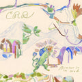 Robinson,chris - Barefoot In The Head - Music CD