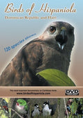 Birds Of Hispaniola - Birds Of Hispaniola - DVD