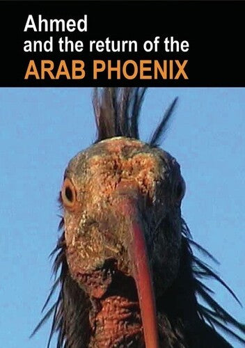 Ahmed & The Return Of The Arab Phoenix - Ahmed & The Return Of The Arab Phoenix - DVD