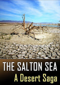 Salton Sea: A Desert Saga - Salton Sea: A Desert Saga - DVD
