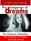 Language Of Dreams: The Alchemy Of Relationships - Language Of Dreams: The Alchemy Of Relationships - DVD