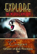 Explore The Wildlife Kingdom - Cougar Ghost Of The Rockies - DVD