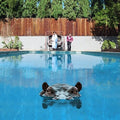 Sparks - Hippopotamus - Music CD