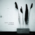 Ackroyd,poppy - Feathers - Music CD