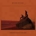 Blank Range - Marooned With The Treasure - Vinyl Record