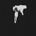 Kaleida - Tear The Roots - Music CD