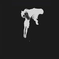 Kaleida - Tear The Roots - Vinyl Record
