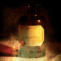 Blackfield - Blackfield - Vinyl Record
