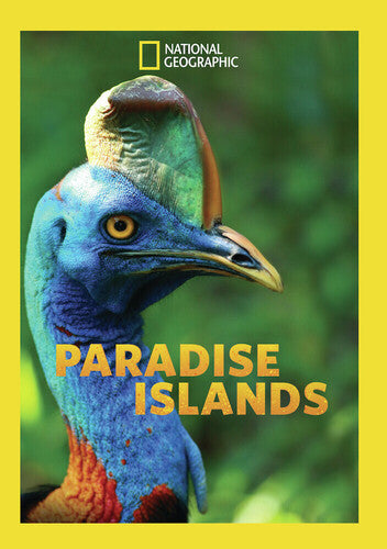 Paradise Islands: Season 1 - Paradise Islands: Season 1 - DVD