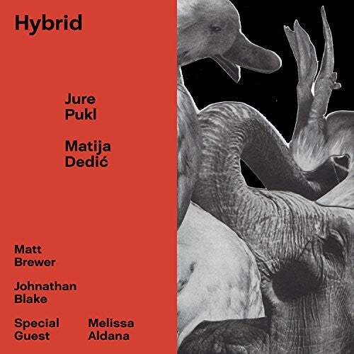 Pukl,jure / Dedic,matija - Hybrid - Music CD