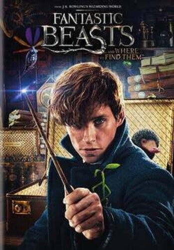 Fantastic Beasts & Where To Find Them - Fantastic Beasts & Where To Find Them - DVD