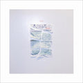 Lushes - Service Industry - Music CD