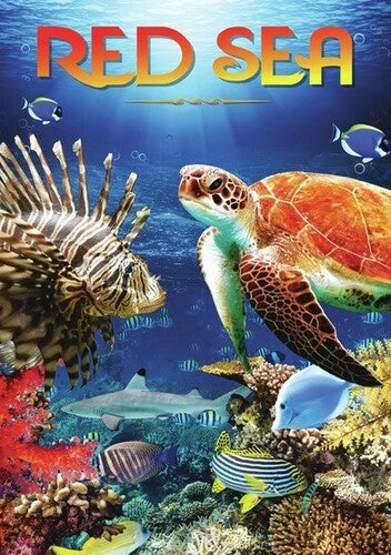 Red Sea - Red Sea - DVD