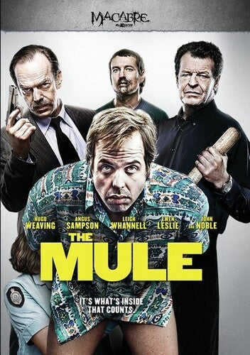 Mule - Mule - DVD