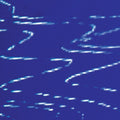 Strategy - Information Pollution - Vinyl Record