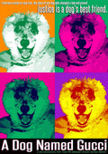 Dog Named Gucci - Dog Named Gucci - DVD