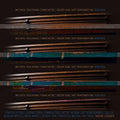 Wide Hive Players / Zingg,drew - Players Please - Music CD