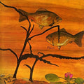 Pisces - Pisces: Limited - Music CD