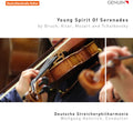 Bruch / Kilar / Mozart / Hentrich - Young Spirit Of Serenades - Music CD