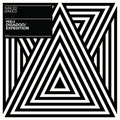 Feels - Digadoo / Expedition - Vinyl Record