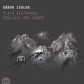 Beethoven / Csalog,gabor - Plays Beethoven Szollosy & Csapo - Music CD