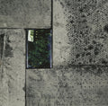 Lily - Modern Malaise - Vinyl Record