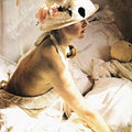 Dore,valerie - Night - Vinyl Record