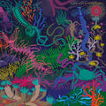 Slow Steve - Adventures - Vinyl Record
