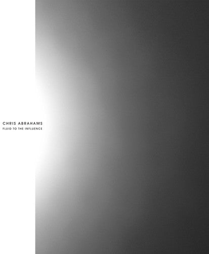 Abrahams,chris - Fluid To The Influence - Vinyl Record