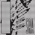 Silk Road Assassins - Reflection Spaces - Vinyl Record