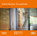 Baldes,jochen / Jellici,johanna / Hunziker,tobias - Invisible Door - Music CD