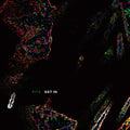 Pita - Get In - Music CD
