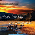 Mancebo,judson - Wild Horses - Music CD