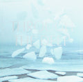 Fin - Through The Deep - Music CD