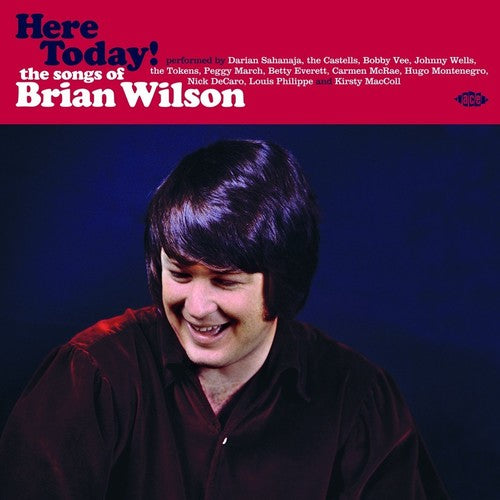 Here Today! Songs Of Brian Wilson / Various [LP] Vinyl Record