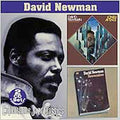 Newman,david - Lonely Avenue / Newmanism - Music CD