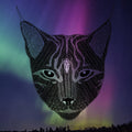 Lokatt - Karg - Vinyl Record