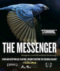 Messenger - Messenger - Blu-ray